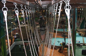 2007