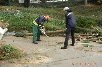 2011