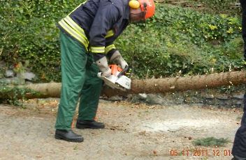 2011