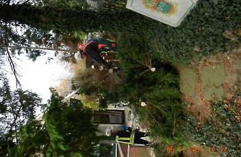 2011